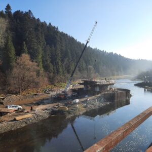 3.1 realizácia zárodkov na pilieroch (2)