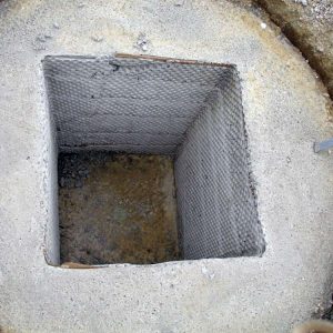 Dhollandia, Predmier