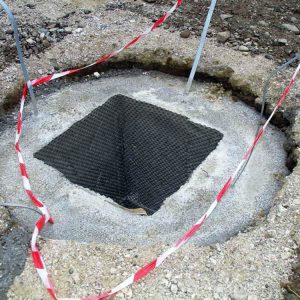 Dhollandia, Predmier