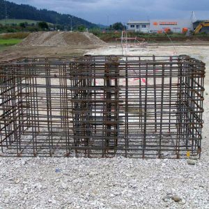 Dhollandia, Predmier