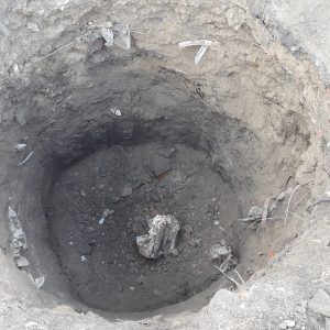 Športové gymnázium v Trenčíne